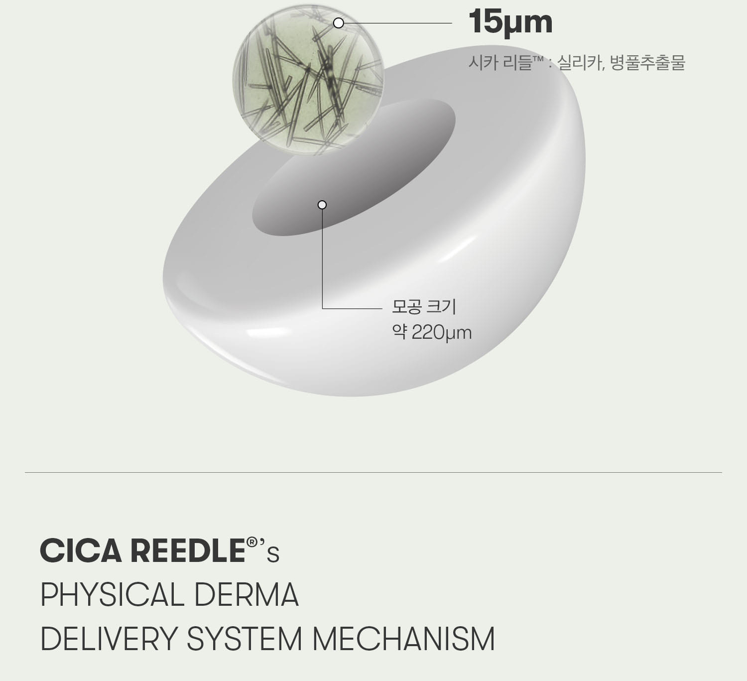 VT Reedle Shot 300 Facial Boosting First Ampoule 2ml*6pcs - Section 3